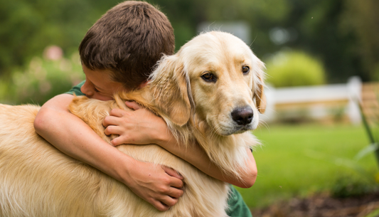 How can I keep my pet’s memory alive at home with custom wool memorial art?